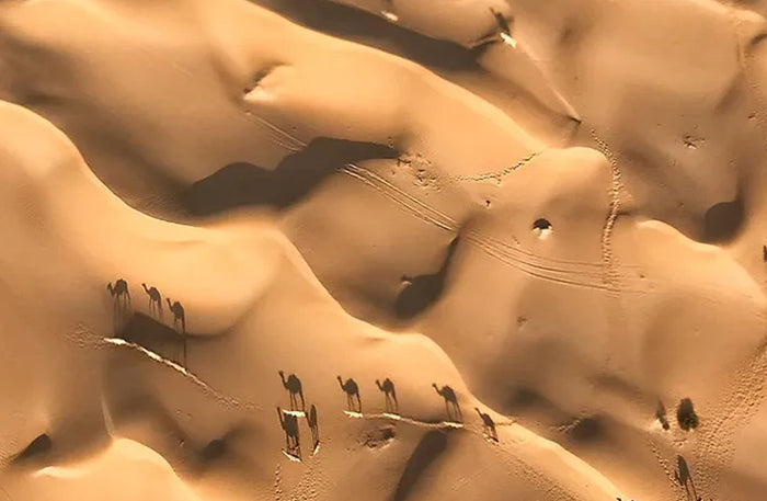 Breakfast in the Sky In a Hot Air Balloon For Up to 4 People | at Wondergifts