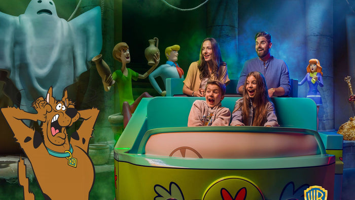 General Admission to Warner Bros. World Abu Dhabi for Four | at Wondergifts