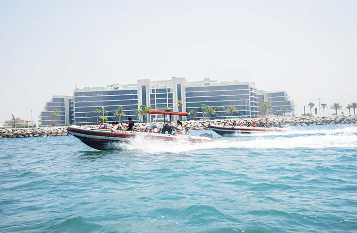 Sightseeing Marina Skyline Boat Tour for One with Love Boats | at Wondergifts