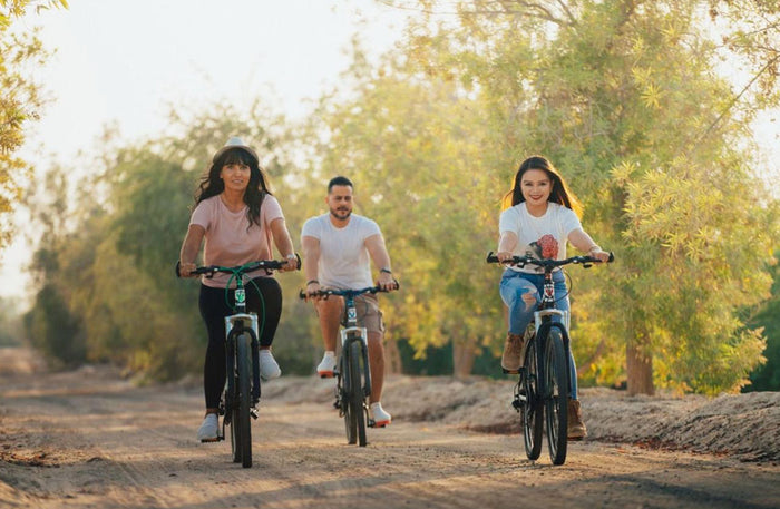 Opulent Cabin Stay with Breakfast for Up to 5 at Bab Al Nojoum | at Wondergifts