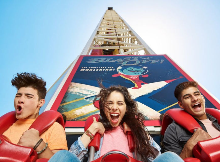 General Admission for One at Real Madrid Theme Park | at Wondergifts