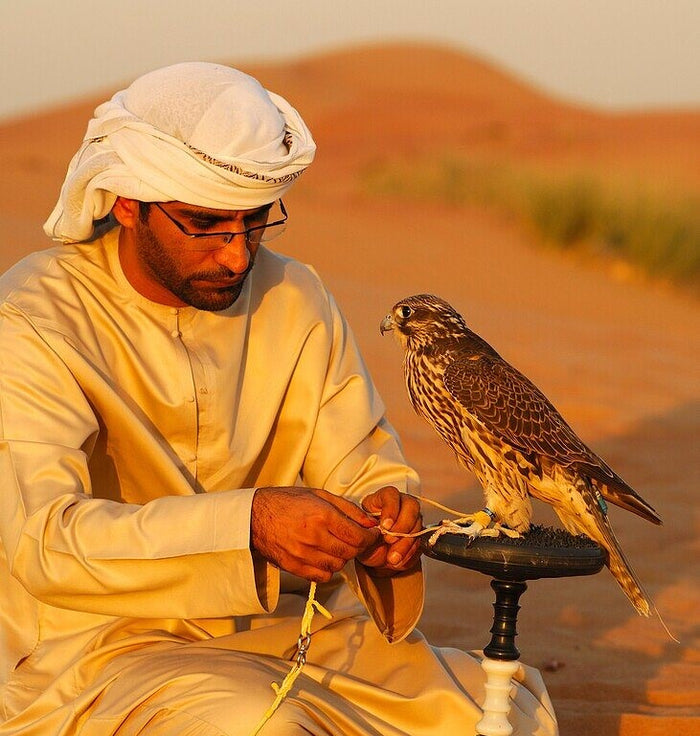 Dawn Hot Air Balloon Adventure with Succulent Breakfast & Falconry | at Wondergifts