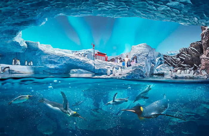 General Admission Ticket to SeaWorld Yas Island Abu Dhabi