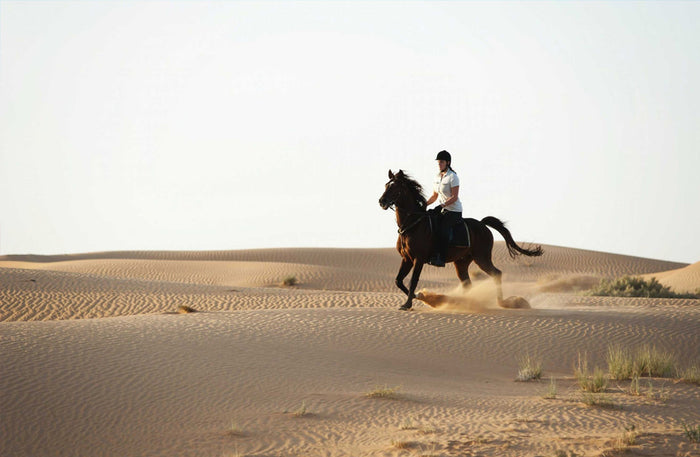 Al Maha Desert Resort - Arabian Horseback Riding Experience in the Dubai Desert