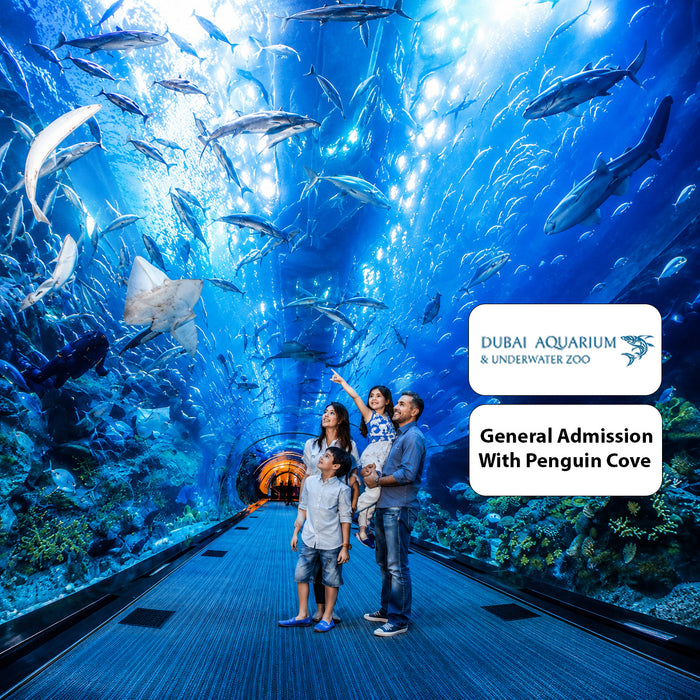 Dubai Aquarium & Underwater Zoo with Penguin Cove General Admission