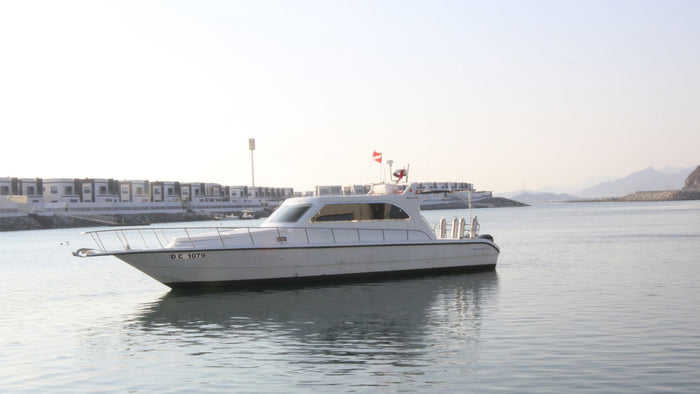 Fujairah Scuba Diving and Snorkeling with Turtles including BBQ Lunch | at Wondergifts