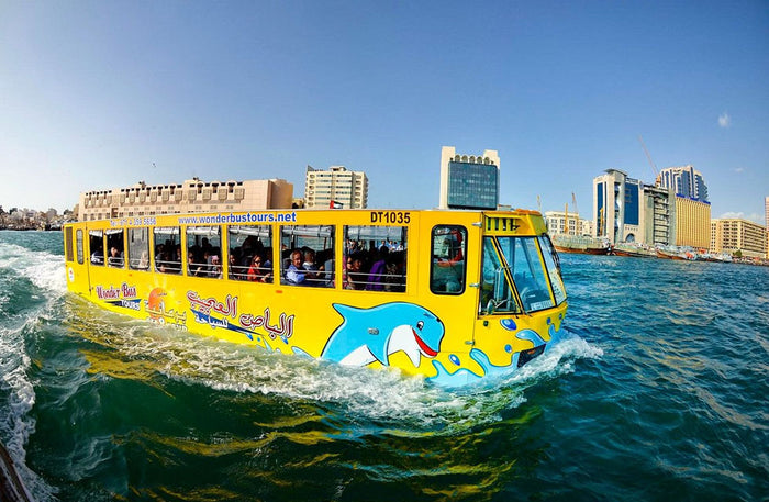 Regular Wonder Bus Tour for One Child: Land and Sea Excursion | at Wondergifts
