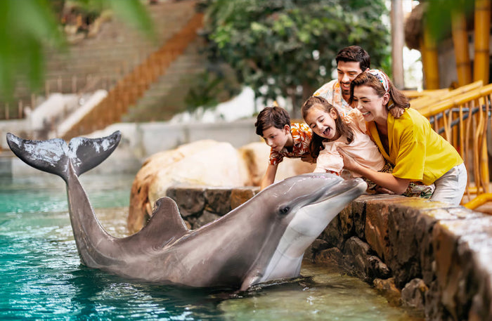 General Admission Ticket to SeaWorld Yas Island Abu Dhabi