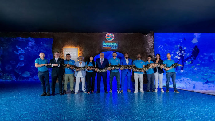 All Access Family Pass at The National Aquarium Abu Dhabi for Four | at Wondergifts
