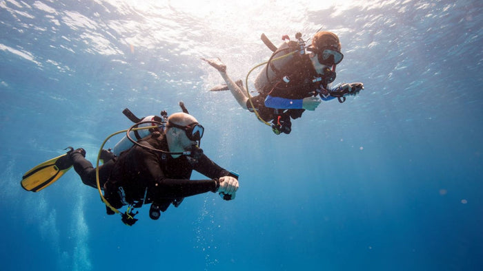 Fujairah Scuba Diving and Snorkeling with Turtles including BBQ Lunch | at Wondergifts