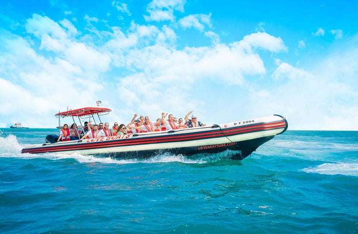 Sightseeing Marina Skyline Boat Tour for One with Love Boats | at Wondergifts