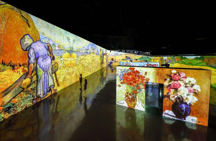 Immersive Art Experience Access for One at Arte Museum in Dubai Mall | at Wondergifts