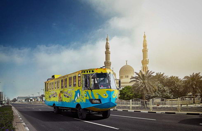 Regular Wonder Bus Tour for One Child: Land and Sea Excursion | at Wondergifts