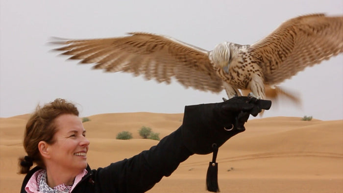 Fun Falconry Safari with Breakfast for Two in Dubai | at Wondergifts