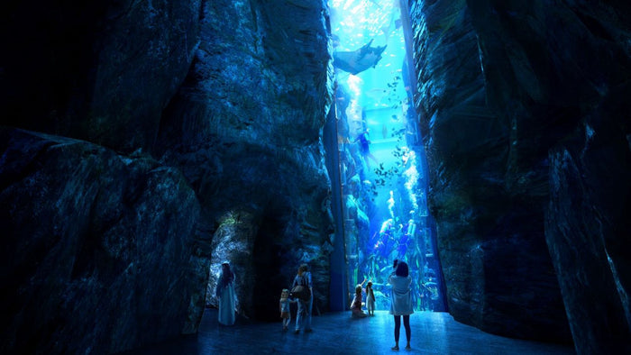 SeaWorld Abu Dhabi General Admission Ticket | at Wondergifts