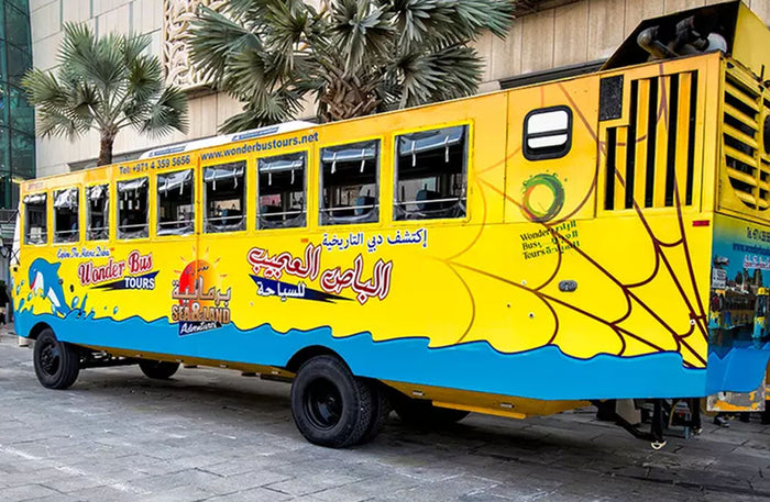 Regular Wonder Bus Tour for One Child: Land and Sea Excursion | at Wondergifts