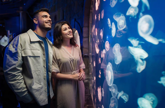 Dubai Aquarium & Underwater Zoo with Penguin Cove General Admission