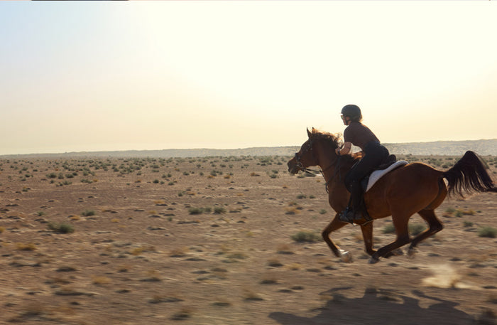 Al Maha Desert Resort - Arabian Horseback Riding Experience in the Dubai Desert