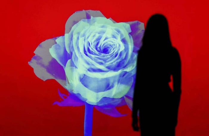 Immersive Art Experience Access for One at Arte Museum in Dubai Mall | at Wondergifts