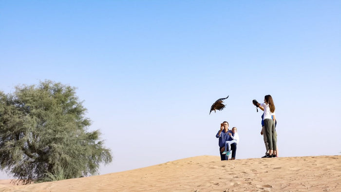 Private Desert Safari & Falconry Experience with Breakfast | at Wondergifts
