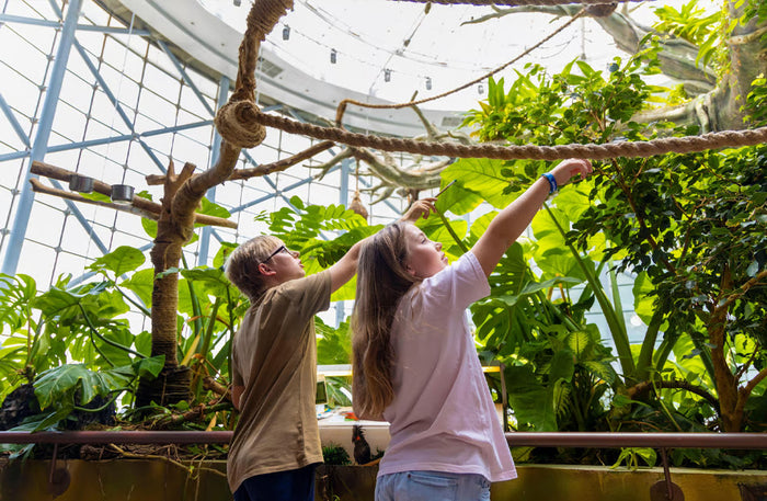 Immersive The Green Planet Day Pass Experience