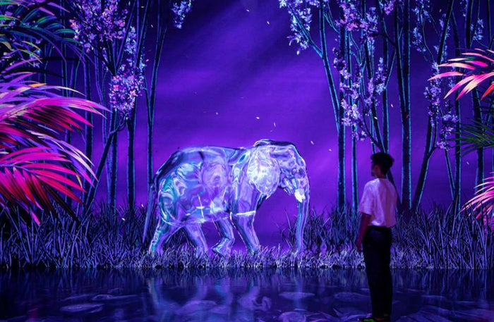 Immersive Art Experience Access for One at Arte Museum in Dubai Mall | at Wondergifts