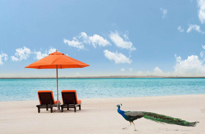 Vibrant One Night Stay with Breakfast for Two at JA Beach Hotel | at Wondergifts