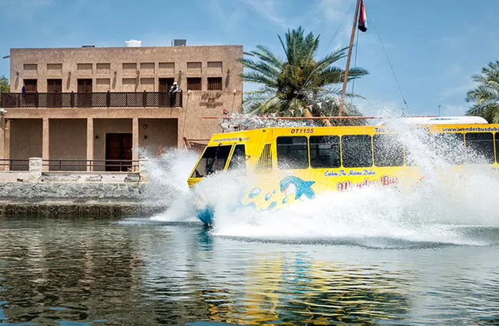 Regular Wonder Bus Tour for One Child: Land and Sea Excursion | at Wondergifts