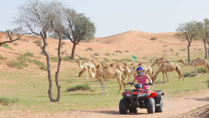 Unforgettable 90 mins Quad Bike Adventure | at Wondergifts