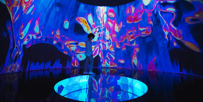 AYA Universe Admission Ticket For One Adult | at Wondergifts