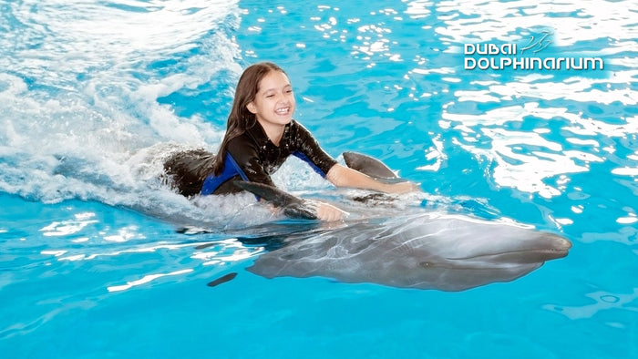 General Admission to Dolphin and Seal Show for Two | at Wondergifts
