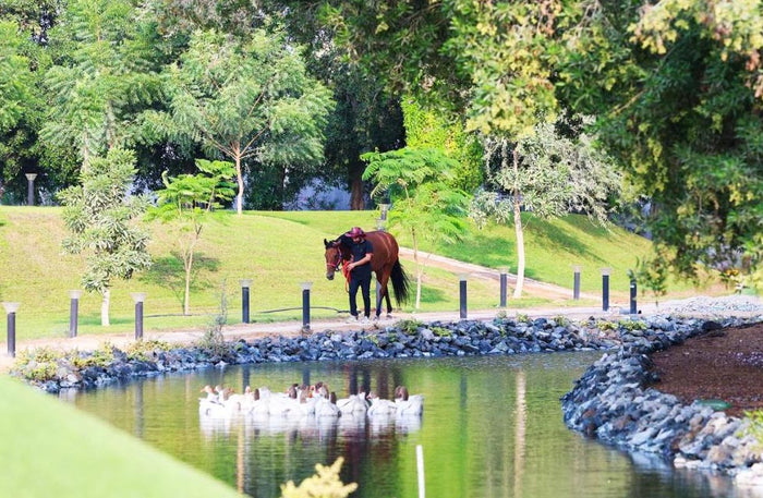 Nirvana Retreat Exclusive Winter Stay in Chalet with Private Pool and Breakfast | at Wondergifts