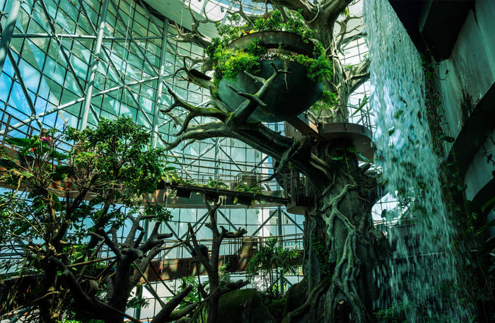 Immersive The Green Planet Day Pass Experience