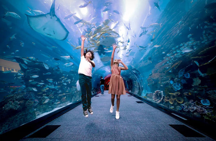 Dubai Aquarium & Underwater Zoo with Penguin Cove General Admission