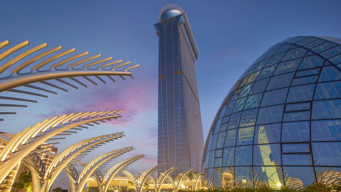 The View at The Palm Non Prime Time General Admission | at Wondergifts