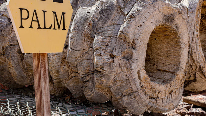 Hatta Honeybee Garden and Taste Local Honey for Two | at Wondergifts