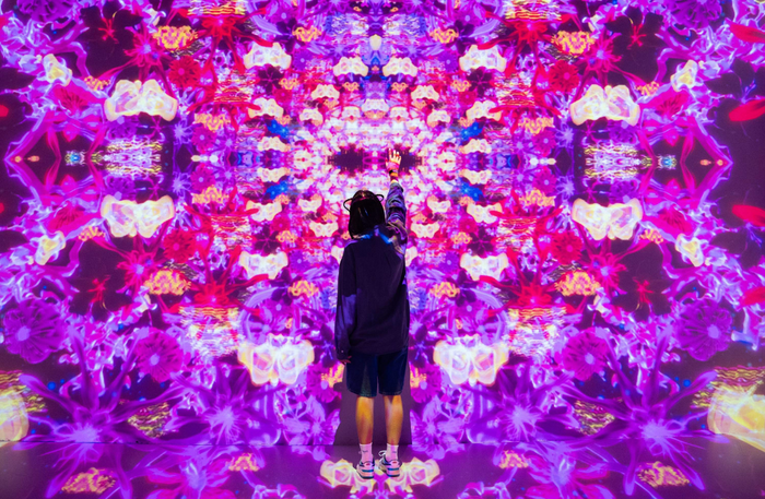 The Ultimate Virtual Playground at House of Hype for One | at Wondergifts