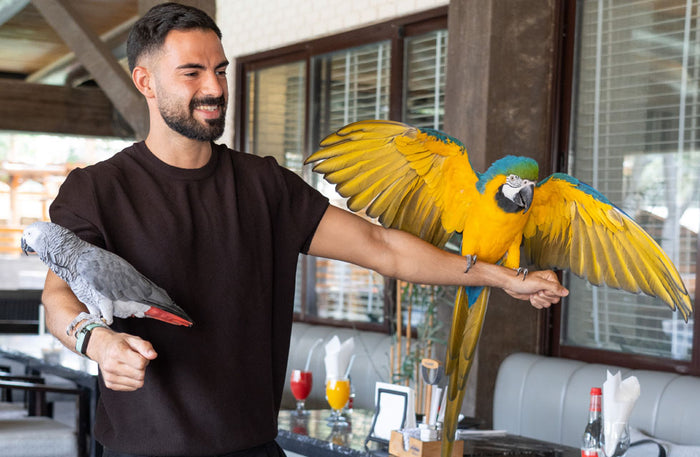 Emirates Park Zoo & Resort Deluxe 1-Night Stay with Zoo Access & Breakfast | at Wondergifts