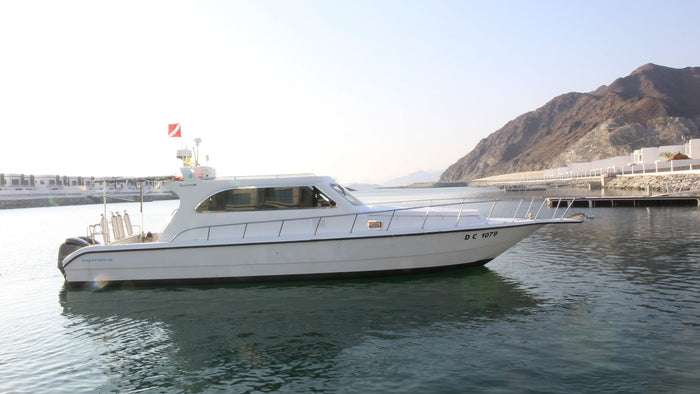 Snorkeling, Turtle Encounter & BBQ in Fujairah | at Wondergifts