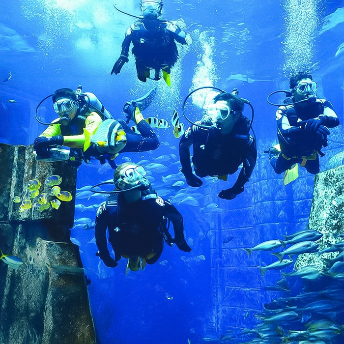 Atlantis Discover Scuba Dive: Plunge into the Ambassador Lagoon