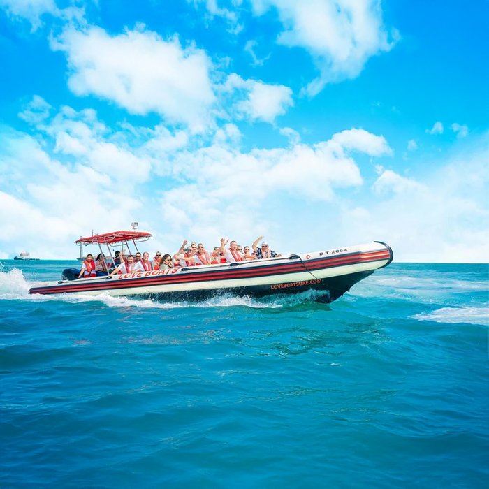 Sightseeing Marina Skyline Boat Tour for One with Love Boats