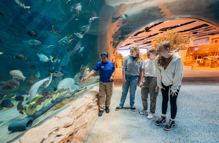General Admission Ticket to SeaWorld Yas Island Abu Dhabi