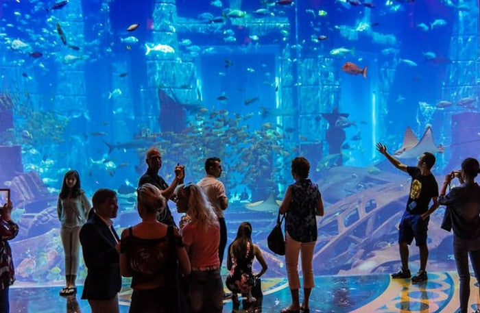 Atlantis The Lost World Aquarium Access for 2 | Buy 1 Get 1 Free Offer