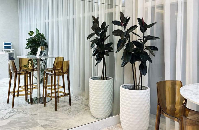 Elegant Classic Manicure & Pedicure at Spaces Salon - Valid at 2 Locations | at Wondergifts