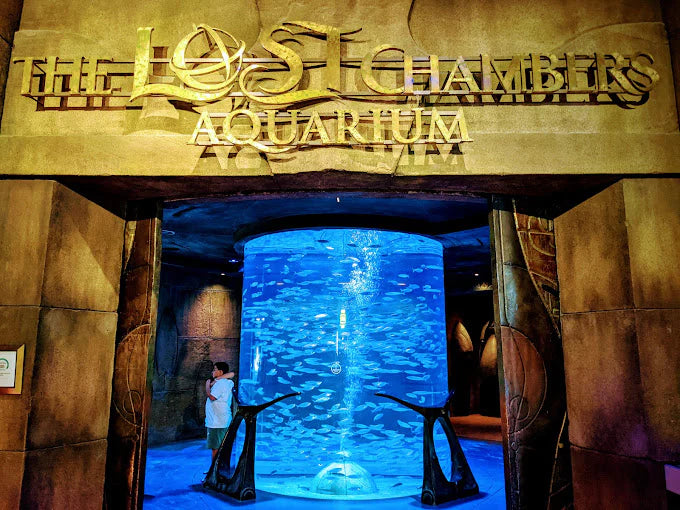 Dinner at Saffron Atlantis with Lost Chambers Aquarium Access for One