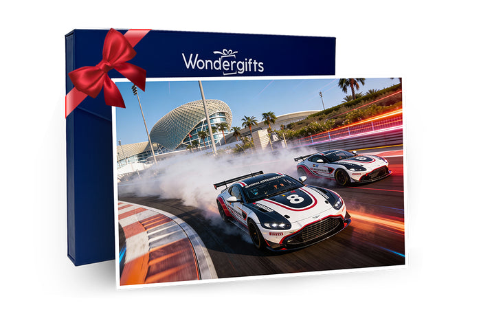 Aston Martin GT4 High-Speed Co-Pilot Experience