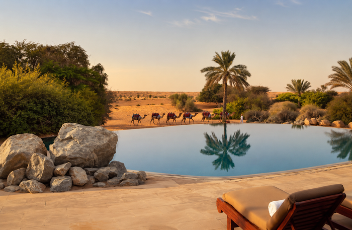 Al Maha Desert Resort - Luxury Desert Adventure with Camel Trek, Wildlife Drive & Sunset Sundowner