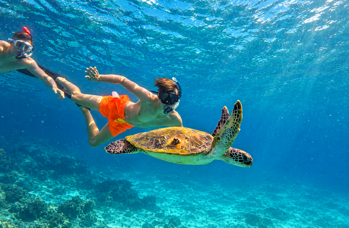 Fujairah - Mesmerising Snorkeling Adventure with Transfers & Sightseeing