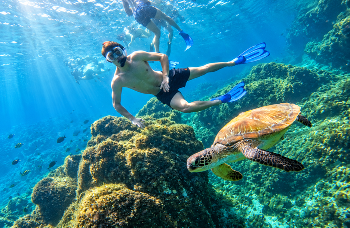 Fujairah - Mesmerising Snorkeling Adventure with Transfers & Sightseeing