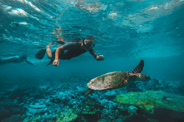 Discovery Scuba Dive Adventure for One in Palm Jumeirah | at Wondergifts